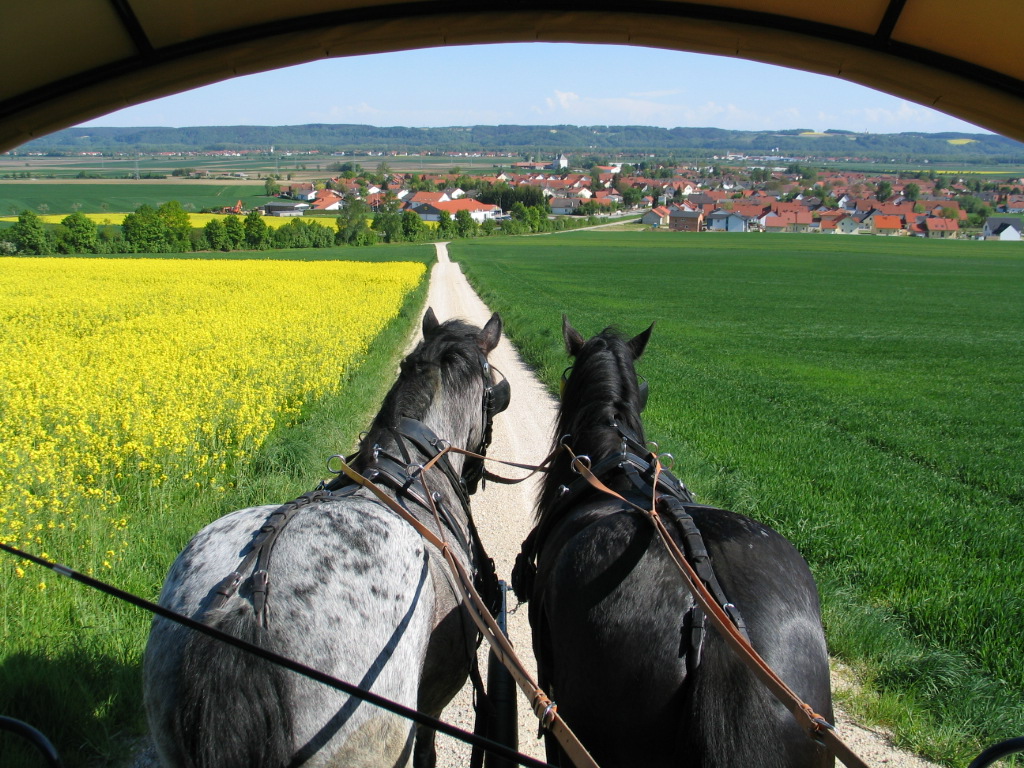 Tolle Aussicht